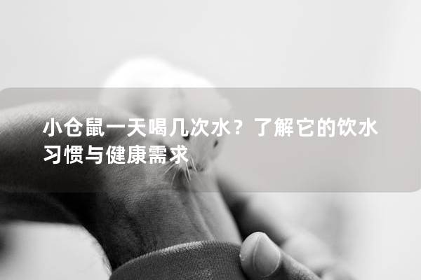 小仓鼠一天喝几次水？了解它的饮水习惯与健康需求