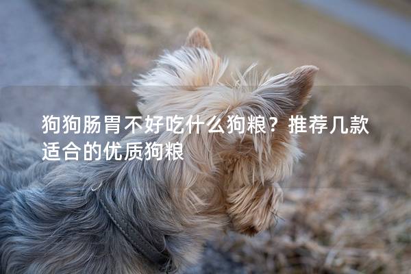 狗狗肠胃不好吃什么狗粮？推荐几款适合的优质狗粮