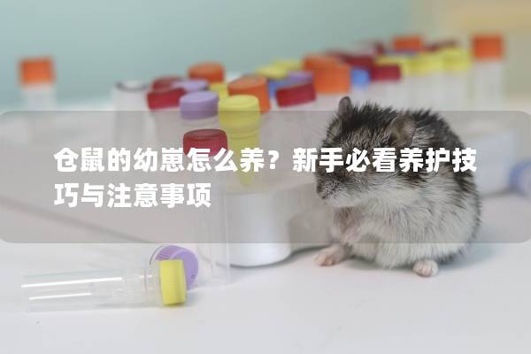 仓鼠的幼崽怎么养?新手必看养护技巧与注意事项 仓鼠的幼崽怎么养?新手必看养护技巧与注意事项