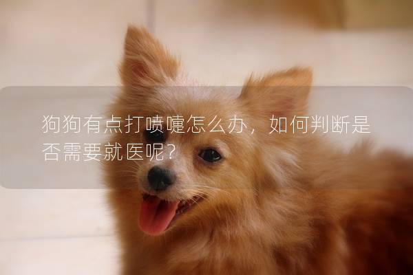 狗狗有点打喷嚏怎么办，如何判断是否需要就医呢？
