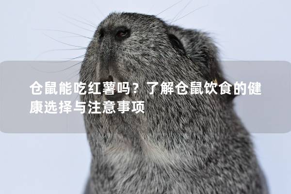 仓鼠能吃红薯吗？了解仓鼠饮食的健康选择与注意事项