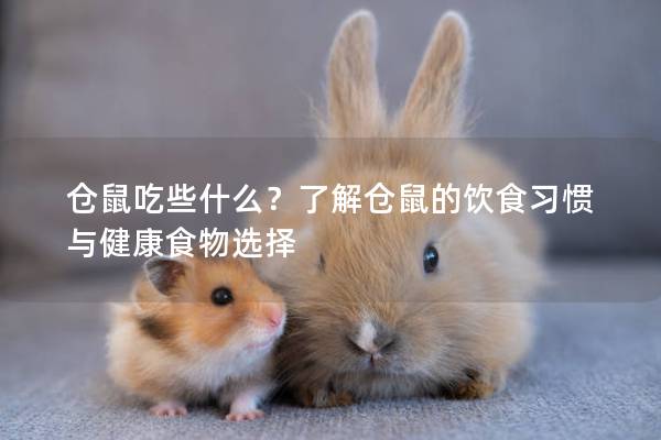 仓鼠吃些什么？了解仓鼠的饮食习惯与健康食物选择