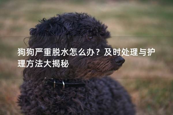 狗狗严重脱水怎么办？及时处理与护理方法大揭秘