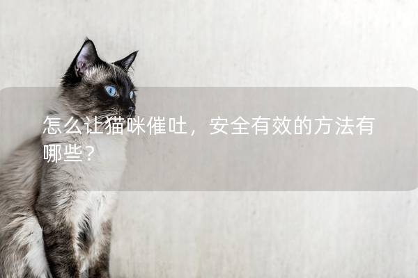 怎么让猫咪催吐，安全有效的方法有哪些？