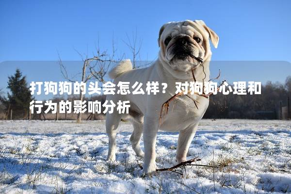 打狗狗的头会怎么样？对狗狗心理和行为的影响分析