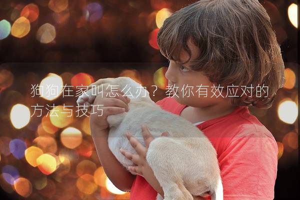 狗狗在家叫怎么办？教你有效应对的方法与技巧