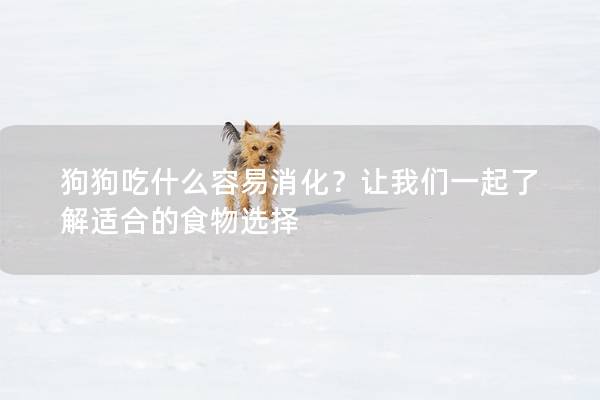 狗狗吃什么容易消化？让我们一起了解适合的食物选择