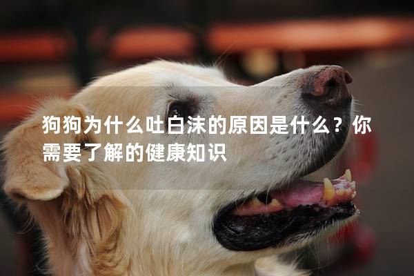 狗狗为什么吐白沫的原因是什么？你需要了解的健康知识