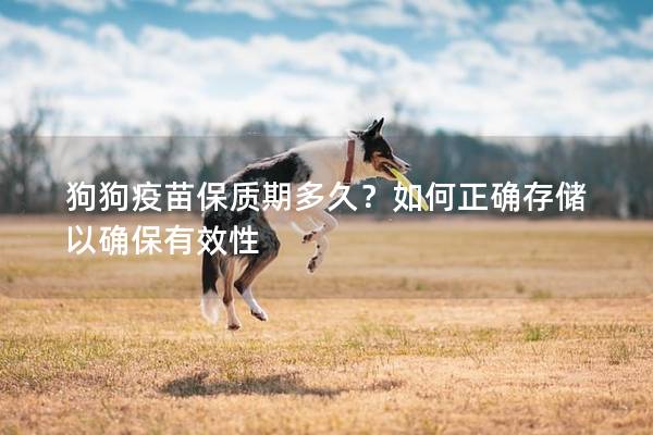 狗狗疫苗保质期多久?如何正确存储以确保有效性 狗狗疫苗保质期多久?如何正确存储以确保有效性