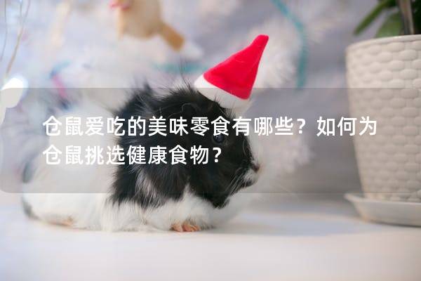 仓鼠爱吃的美味零食有哪些？如何为仓鼠挑选健康食物？
