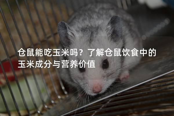 仓鼠能吃玉米吗?了解仓鼠饮食中的玉米成分与营养价值 仓鼠能吃玉米吗?了解仓鼠饮食中的玉米成分与营养价值
