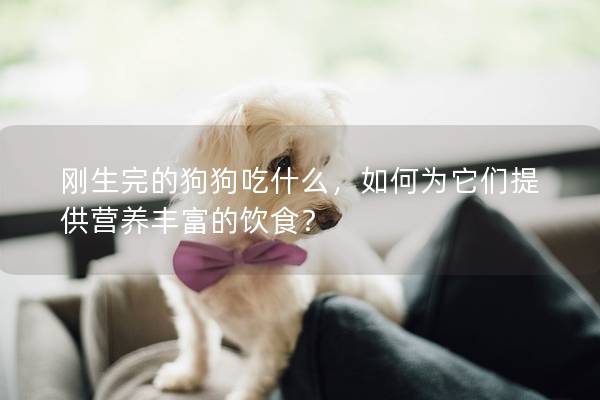 刚生完的狗狗吃什么，如何为它们提供营养丰富的饮食？