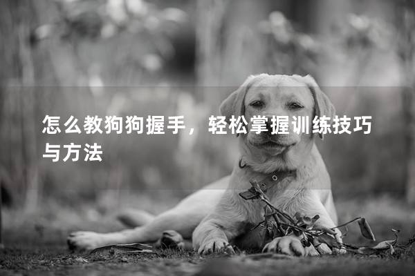 怎么教狗狗握手，轻松掌握训练技巧与方法