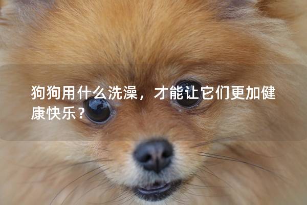 狗狗用什么洗澡，才能让它们更加健康快乐？