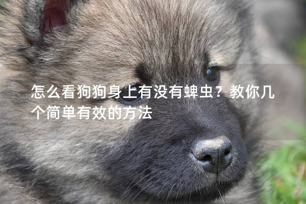 怎么看狗狗身上有没有蜱虫？教你几个简单有效的方法