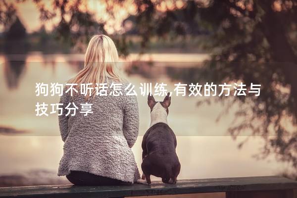 狗狗不听话怎么训练,有效的方法与技巧分享