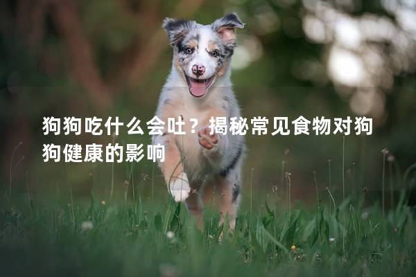狗狗吃什么会吐？揭秘常见食物对狗狗健康的影响