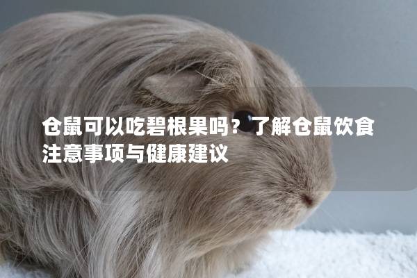 仓鼠可以吃碧根果吗？了解仓鼠饮食注意事项与健康建议