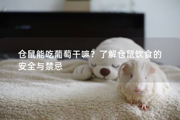 仓鼠能吃葡萄干嘛？了解仓鼠饮食的安全与禁忌