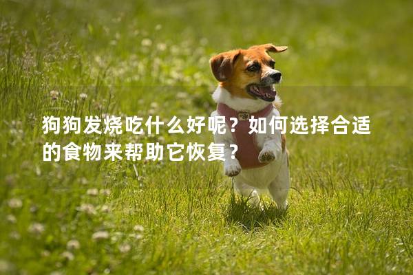 狗狗发烧吃什么好呢？如何选择合适的食物来帮助它恢复？