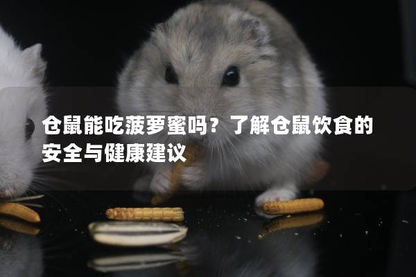 仓鼠能吃菠萝蜜吗？了解仓鼠饮食的安全与健康建议