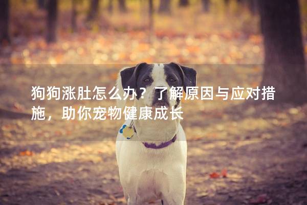 狗狗涨肚怎么办？了解原因与应对措施，助你宠物健康成长