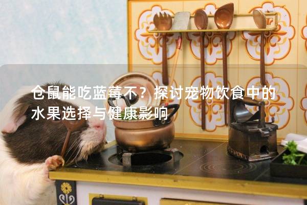 仓鼠能吃蓝莓不？探讨宠物饮食中的水果选择与健康影响