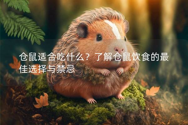 仓鼠适合吃什么？了解仓鼠饮食的最佳选择与禁忌