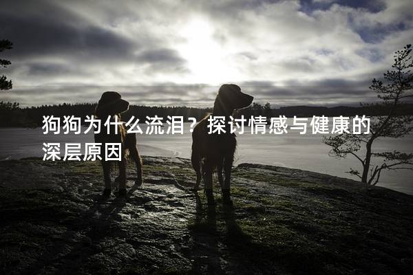 狗狗为什么流泪？探讨情感与健康的深层原因