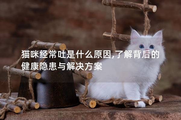 猫咪经常吐是什么原因,了解背后的健康隐患与解决方案