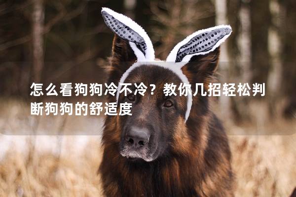怎么看狗狗冷不冷?教你几招轻松判断狗狗的舒适度 怎么看狗狗冷不冷?教你几招轻松判断狗狗的舒适度