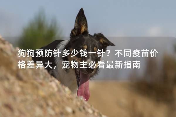 狗狗预防针多少钱一针?不同疫苗价格差异大,宠物主必看最新指南 狗狗预防针多少钱一针?不同疫苗价格差异大,宠物主必看最新指南