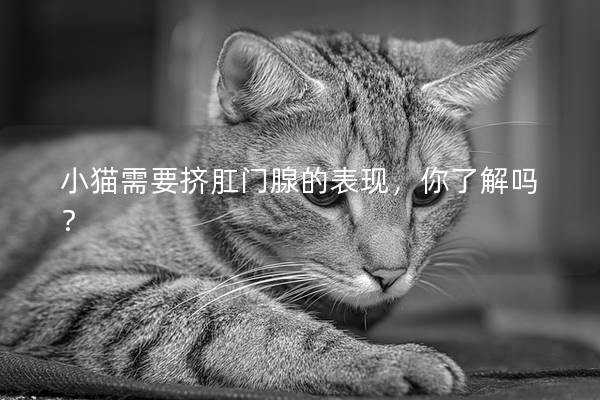 小猫需要挤肛门腺的表现，你了解吗？