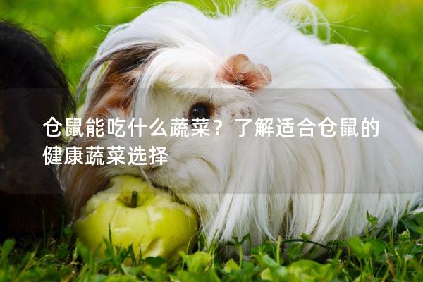 仓鼠能吃什么蔬菜？了解适合仓鼠的健康蔬菜选择
