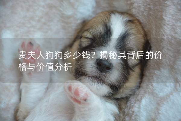 贵夫人狗狗多少钱?揭秘其背后的价格与价值分析 贵夫人狗狗多少钱?揭秘其背后的价格与价值分析