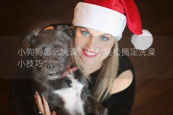 小狗狗怎么洗澡,教你轻松搞定洗澡小技巧 小狗狗怎么洗澡,教你轻松搞定洗澡小技巧