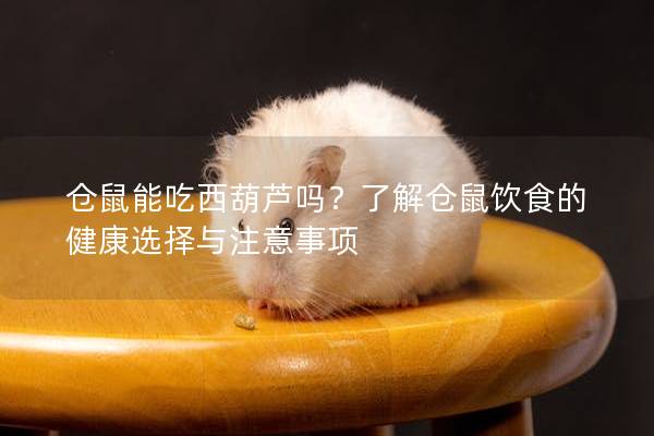 仓鼠能吃西葫芦吗？了解仓鼠饮食的健康选择与注意事项