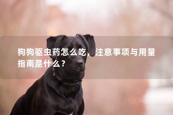 狗狗驱虫药怎么吃，注意事项与用量指南是什么？