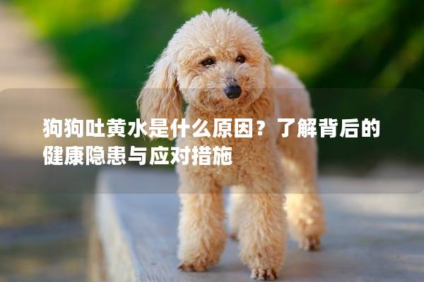 狗狗吐黄水是什么原因？了解背后的健康隐患与应对措施