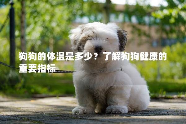 狗狗的体温是多少？了解狗狗健康的重要指标