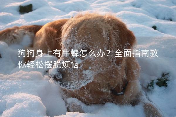 狗狗身上有牛蜱怎么办？全面指南教你轻松摆脱烦恼