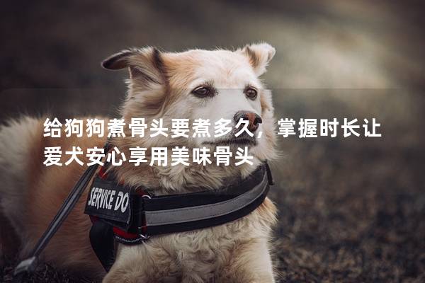 给狗狗煮骨头要煮多久，掌握时长让爱犬安心享用美味骨头