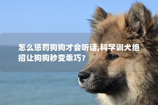 怎么惩罚狗狗才会听话,科学训犬绝招让狗狗秒变乖巧？