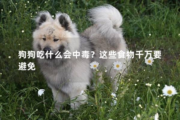 狗狗吃什么会中毒？这些食物千万要避免