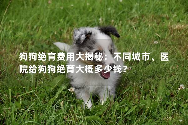狗狗绝育费用大揭秘:不同城市、医院给狗狗绝育大概多少钱? 狗狗绝育费用大揭秘:不同城市、医院给狗狗绝育大概多少钱?