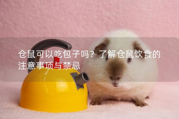 仓鼠可以吃包子吗？了解仓鼠饮食的注意事项与禁忌