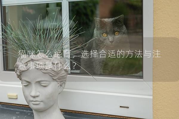 猫咪怎么绝育，选择合适的方法与注意事项是什么？