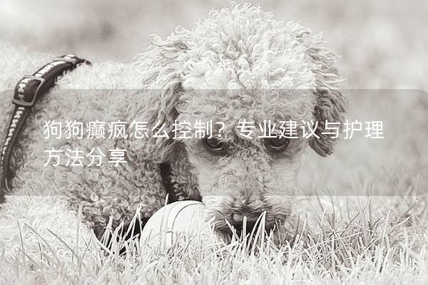狗狗癫疯怎么控制?专业建议与护理方法分享 狗狗癫疯怎么控制?专业建议与护理方法分享
