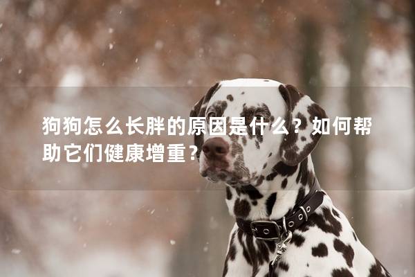 狗狗怎么长胖的原因是什么？如何帮助它们健康增重？