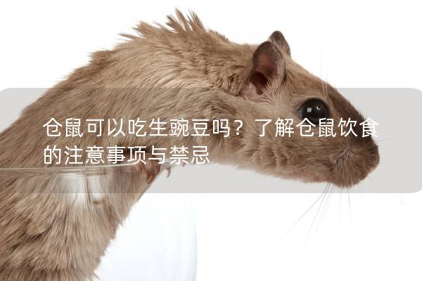 仓鼠可以吃生豌豆吗？了解仓鼠饮食的注意事项与禁忌